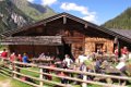 44 Palfneralm 1330 m